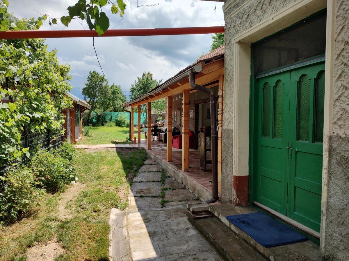 Hotel La Tataia Zahei Dragus Esterno foto