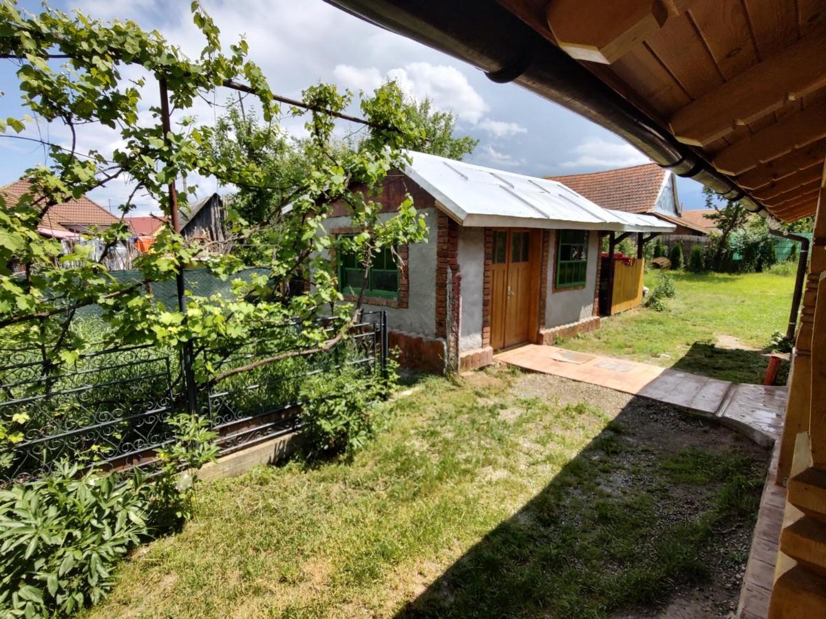 Hotel La Tataia Zahei Dragus Esterno foto